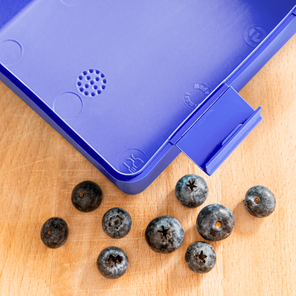 Lunchbox Personalised Various Colours - royal blue