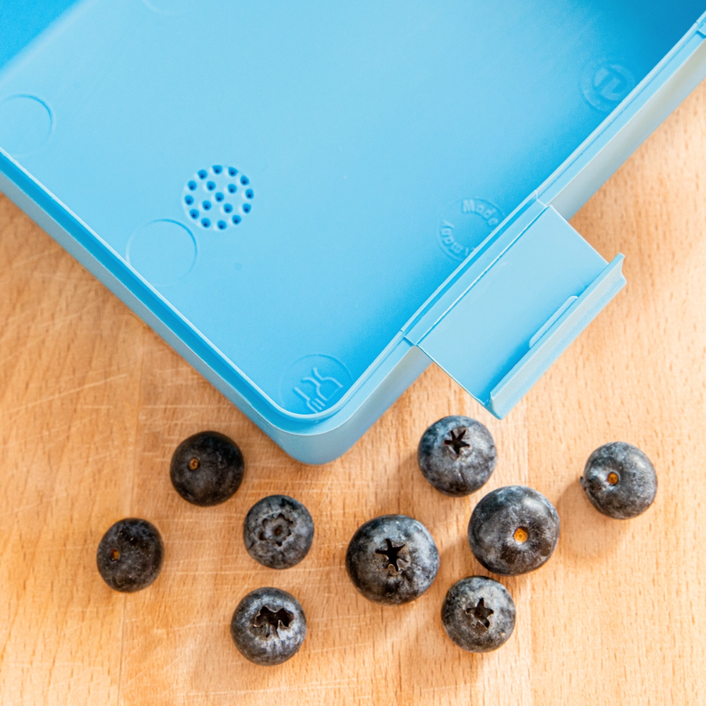 Lunchbox Personalised Various Colours - sapphire blue