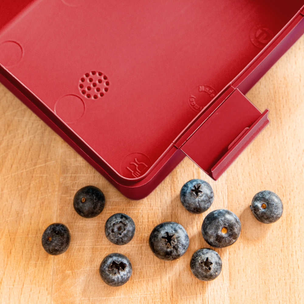 Lunchbox Personalised Various Colours - red