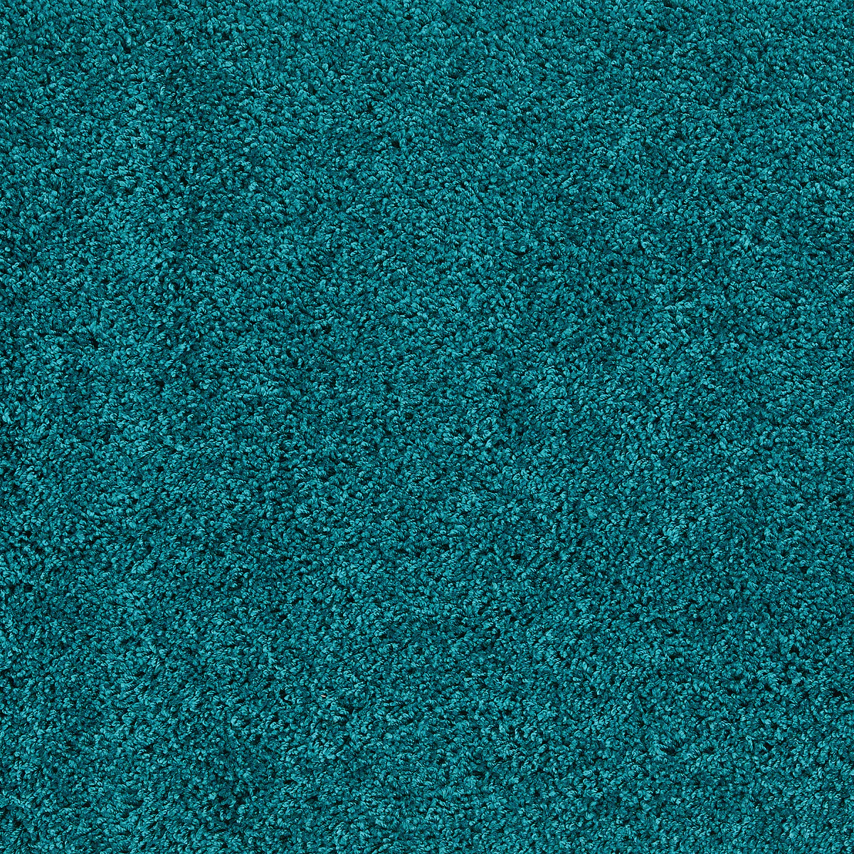 Image #12
