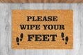 Please Wipe Your Feet Coir Doormat